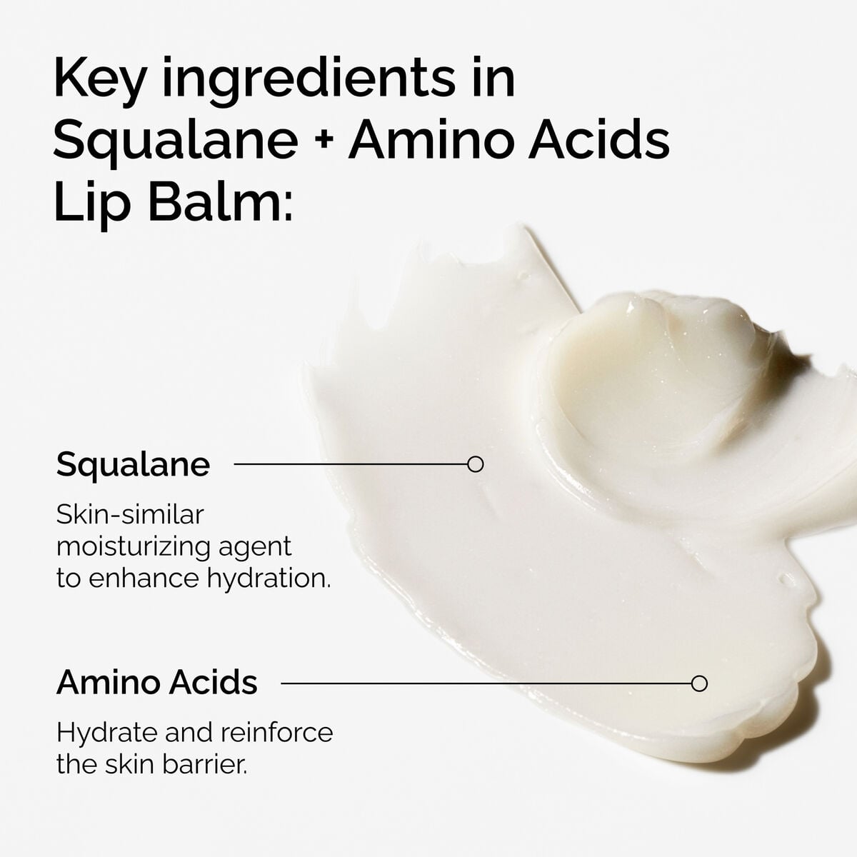 squalane-amino-acids-lip-balm-q2 FY25-D41247-ORD-Web-PDP-Sql-Amino-Lip-1x1-EN-2a.jpg