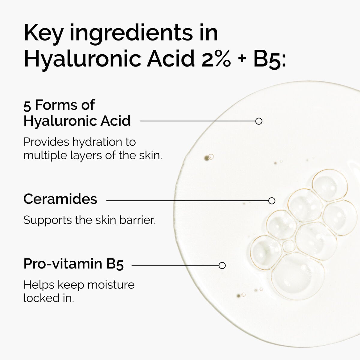 hyaluronic-acid-2-b5-with-ceramides-u7 ord-hyaluronic-acid-2pct-b5-hydrating-serum-ingredients-graphic.jpg