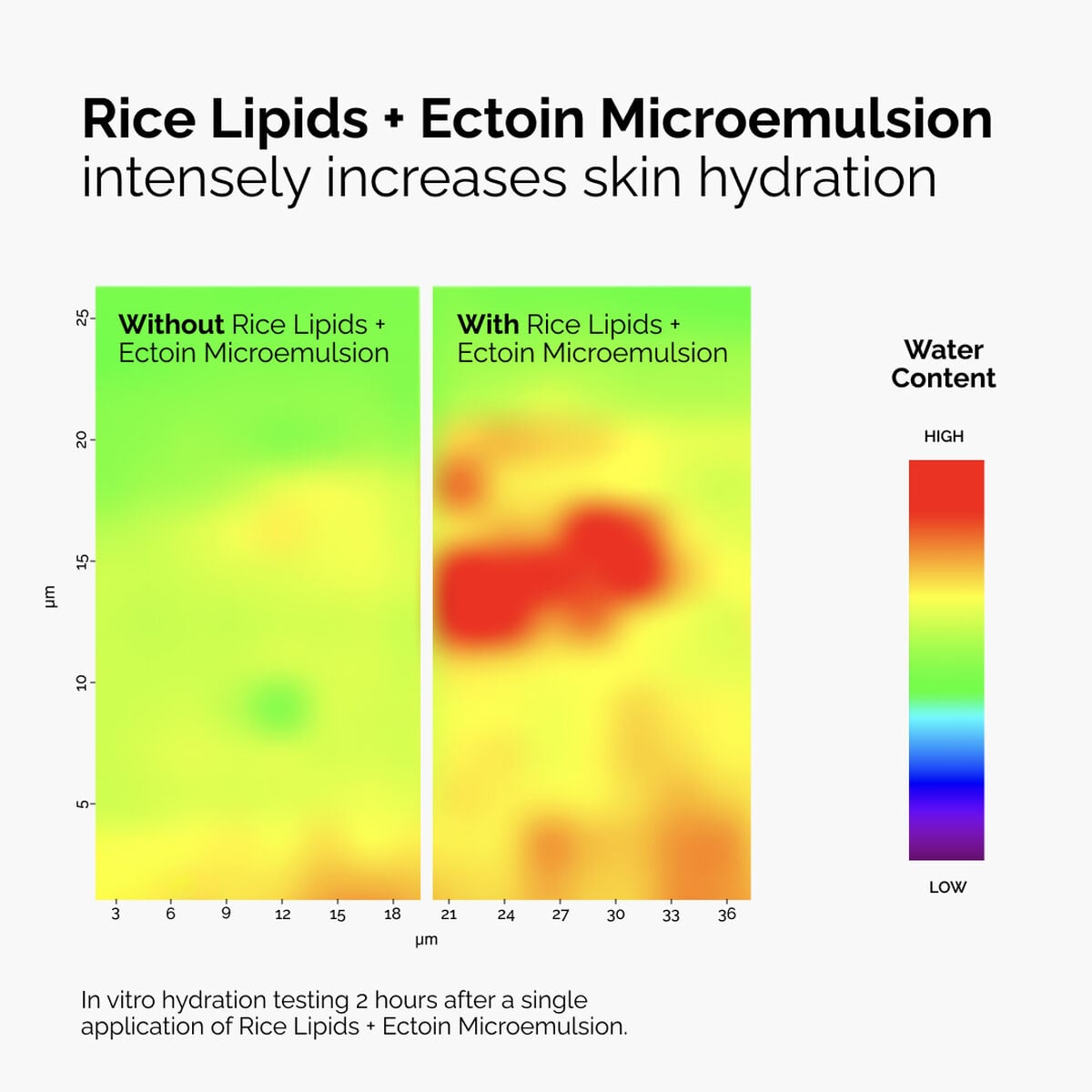 rice-lipids-ectoin-microemulsion-d4 ord-rice-lipids-ectoin-microemulsion-thermal-before-after.jpg